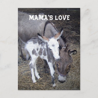 Mamma Kärlek Post Card Vykort