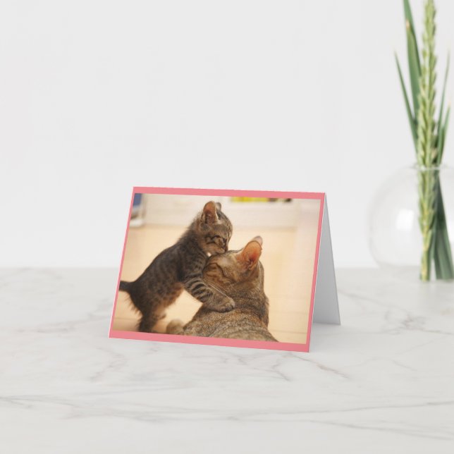 Mamma Katt med Kitten Greeting Card Kort (Framsida)