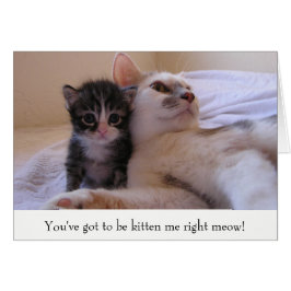 Mamma & Kitten OBS Kort