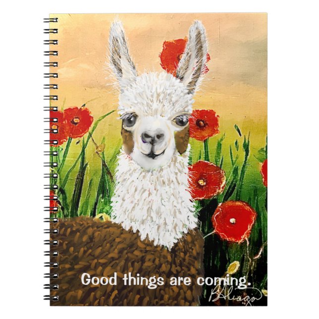Mamma Llama, Bra Sak kommer Anteckningsbok (Framsidan)