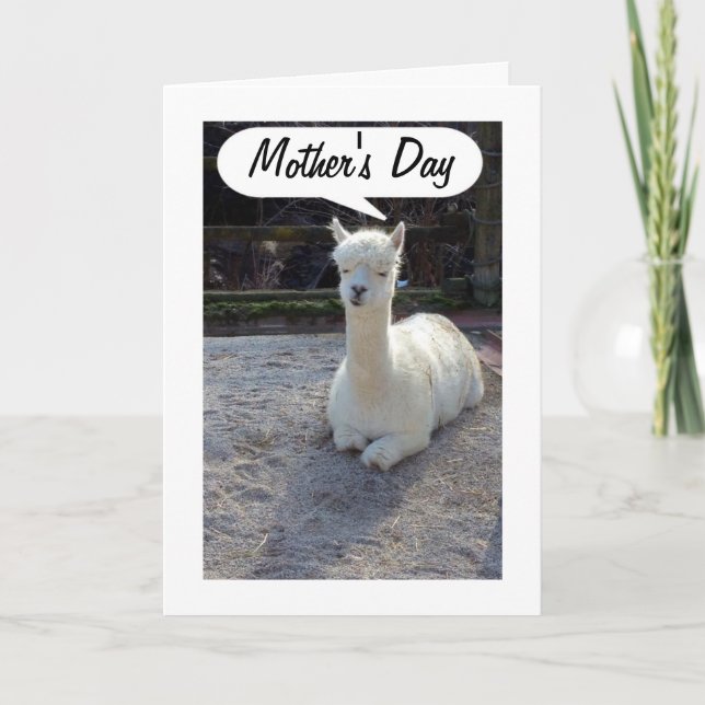 MAMMA-LLAMA säger MORS DAG=FANTASTISK MAMMA Kort (Framsida)