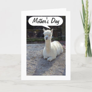 MAMMA-LLAMA säger MORS DAG=FANTASTISK MAMMA Kort