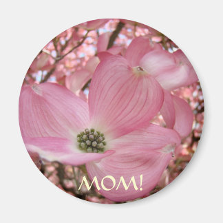MAMMA MAGNETER Rosa Dogwood Blommor Vår