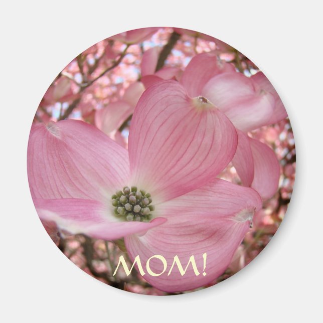 MAMMA MAGNETER Rosa Dogwood Blommor Vår (Framsidan)