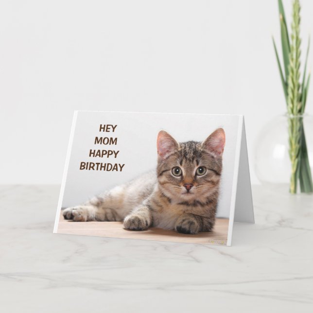 **MAMMA** MY FAVORITE CAT LOVER'S BIRTHDAY KORT (Framsida)