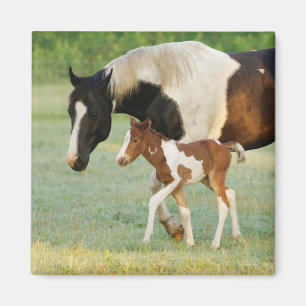 Mamma & Nyfödd Paint Sto Magnet