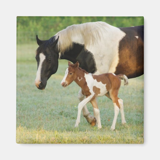 Mamma & Nyfödd Paint Sto Magnet (Framsidan)