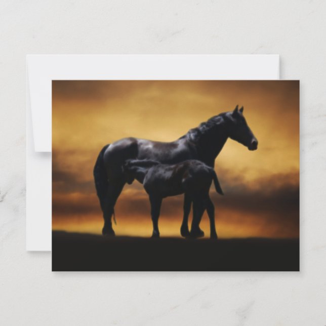 Mamma och Baby colt (Framsida)