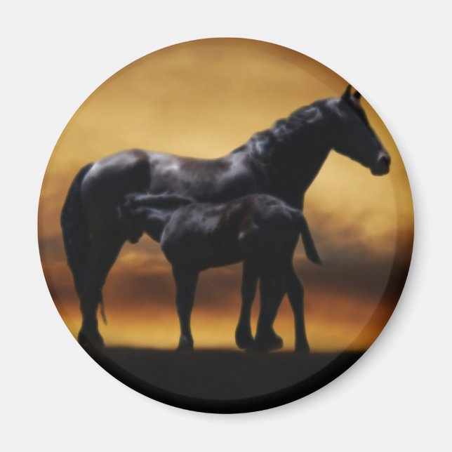 Mamma och Baby colt Magnet (Framsidan)