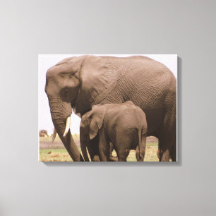 Mamma och Baby Elephant Canvastryck