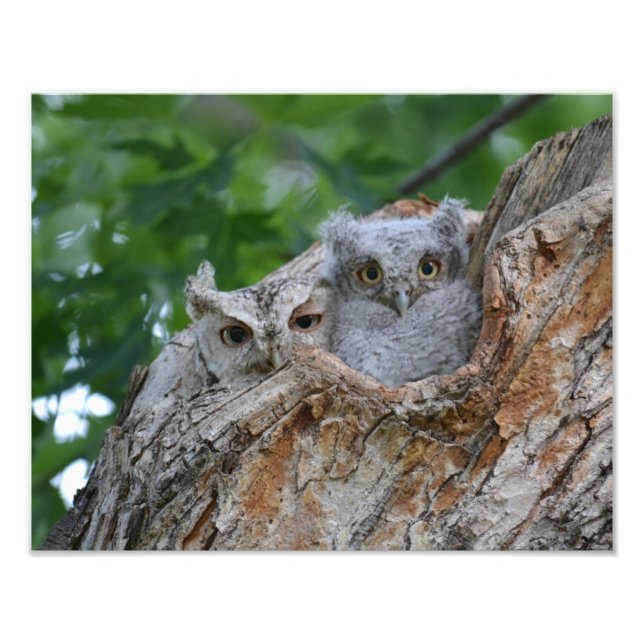 Mamma och Baby Fototryck (Framsidan)