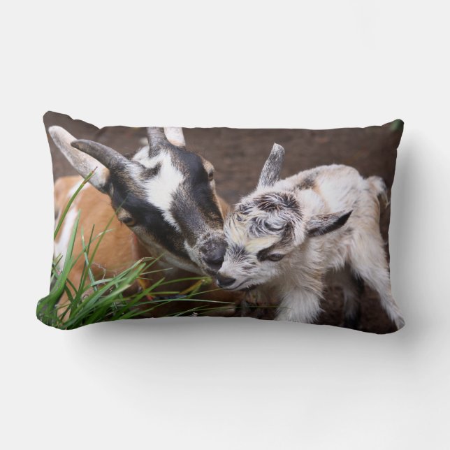 Mamma och Baby Goat Lumbarkudde (Framsida)