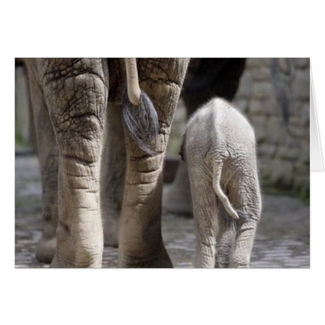 Mamma och Baby Hälsningskort (Framsidan Horizontal)
