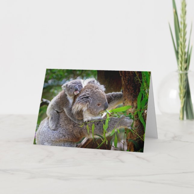 Mamma och Baby Koalas Kort (Framsida)