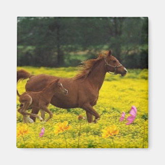 mamma och baby magnet