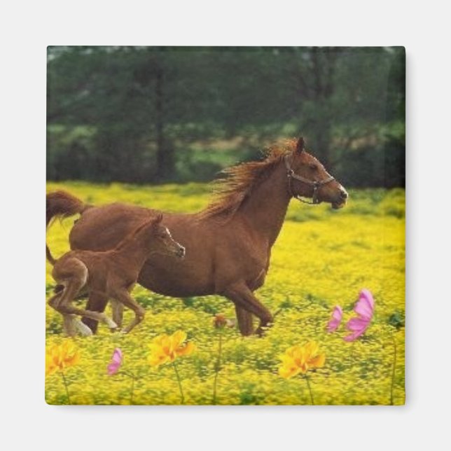 mamma och baby magnet (Framsidan)