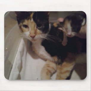 Mamma och Baby Musmatta