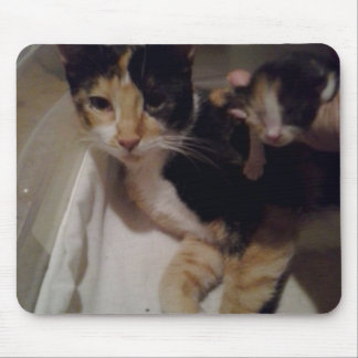Mamma och Baby Musmatta