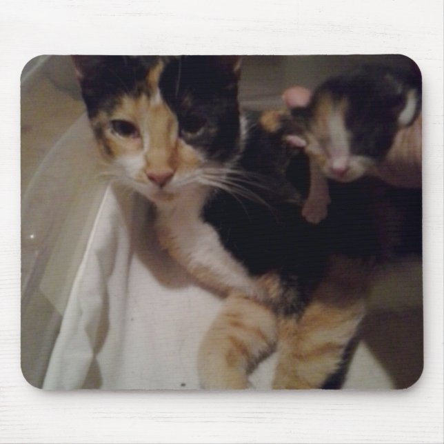 Mamma och Baby Musmatta (Framsidan)