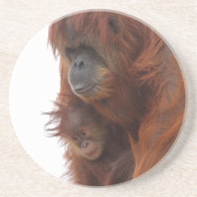 Mamma och baby Orangutan