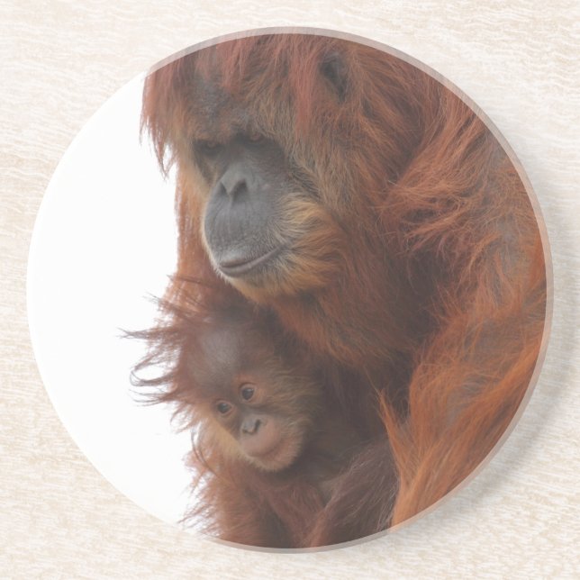 Mamma och baby Orangutan Underlägg (Framsidan)