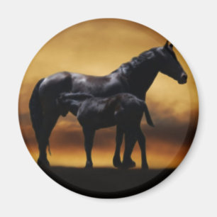 Mamma- och babycolt magnet