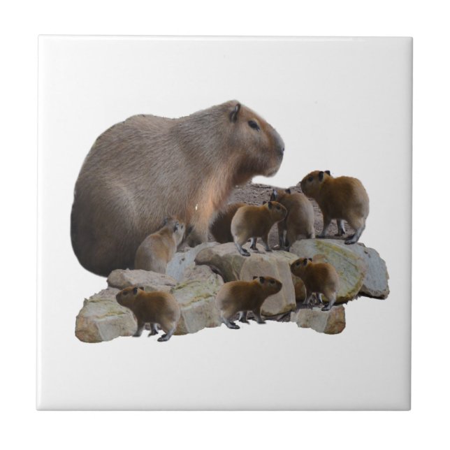 Mamma och bebis Capybaror, Kakelplatta (Framsidan)