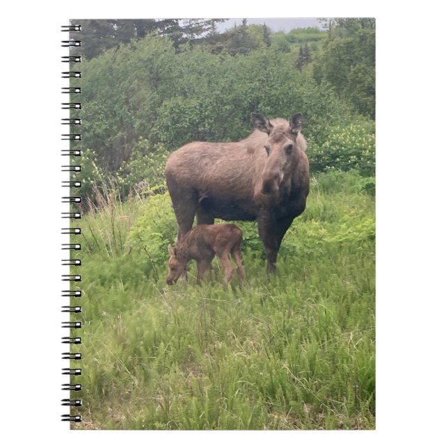 Mamma och kalv Älg Anteckningsbok (Framsidan)
