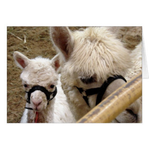 Mamma och Kria Hälsningskort