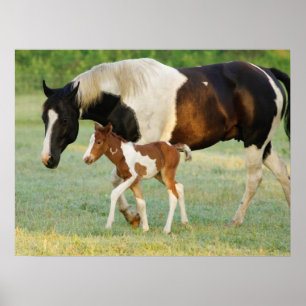 Mamma och nyfödd färgfyllning poster