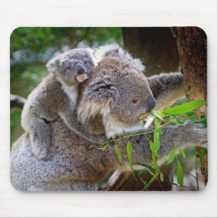 Mamma- och sonKoala Musmatta