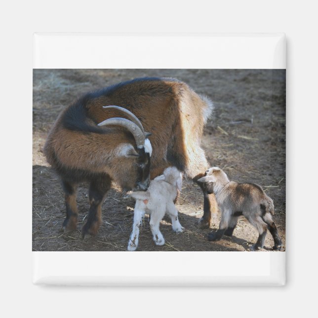 Mamma och Spädbarn Magnet (Framsidan)