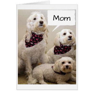 MAMMA ÖNSKAS EN **GRATTIS PÅ FÖDELSEDAGEN** MED 3  HÄLSNINGSKORT