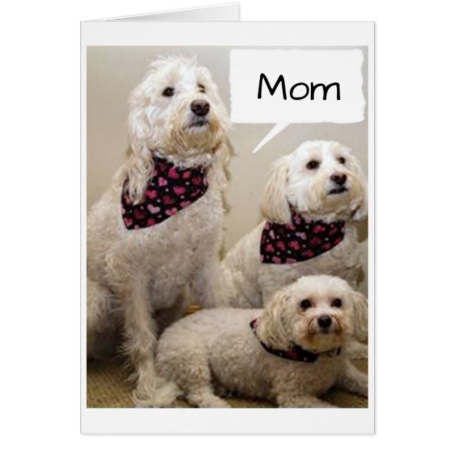 MAMMA ÖNSKAS EN **GRATTIS PÅ FÖDELSEDAGEN** MED 3  HÄLSNINGSKORT (Framsidan)