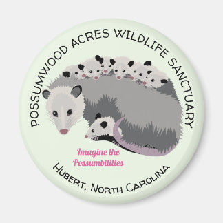 Mamma Opossum Magnet