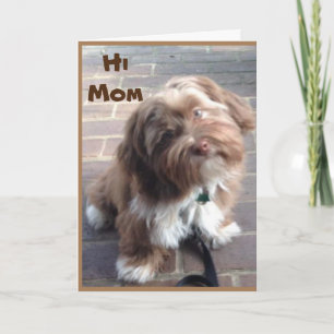 **MAMMA** PÅ BIRTHDAG FRÅN UNGA BARN KORT