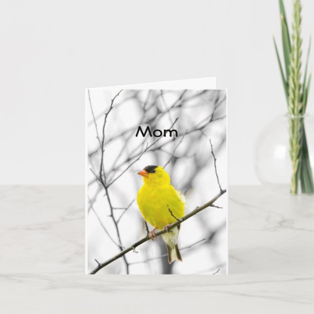 "MAMMA" PÅ DIN BIRTHDAY TWEETE GRATTIS PÅ FÖDELSED KORT (Framsida)