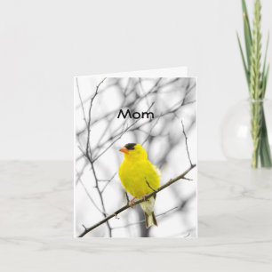 "MAMMA" PÅ DIN BIRTHDAY TWEETE GRATTIS PÅ FÖDELSED KORT