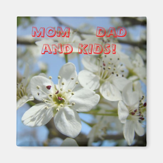 MAMMA PAPPA & BARN magnet Vit vårblomning (Framsidan)