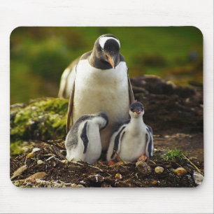 Mamma Penguin och spädbarn Musmatta