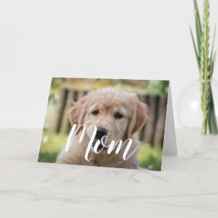 Mamma Pet Photo Mors dag Cute Puppy Hund Mamma Kort