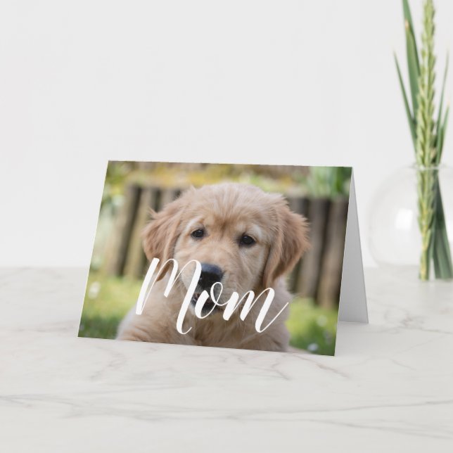 Mamma Pet Photo Mors dag Cute Puppy Hund Mamma Kort (Framsida)