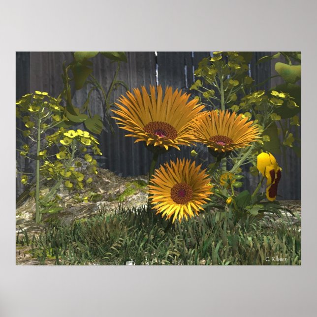 Mamma Pleasure Garden Poster (Framsidan)
