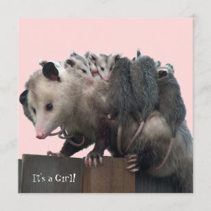 Mamma Possum Humous Baby Shower-inbjudan Inbjudningar