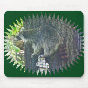 Mamma Raccoon on Suet Mousepad Musmatta