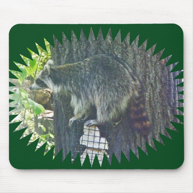 Mamma Raccoon on Suet Mousepad Musmatta (Framsidan)