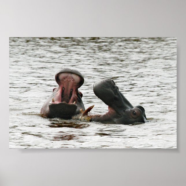 Mamma & son hippos leker poster (Framsidan)