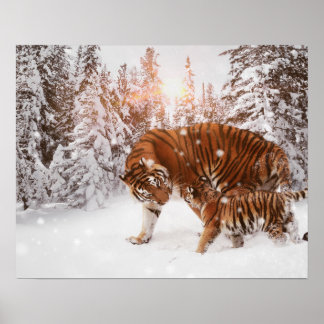 Mamma & son tiger poster