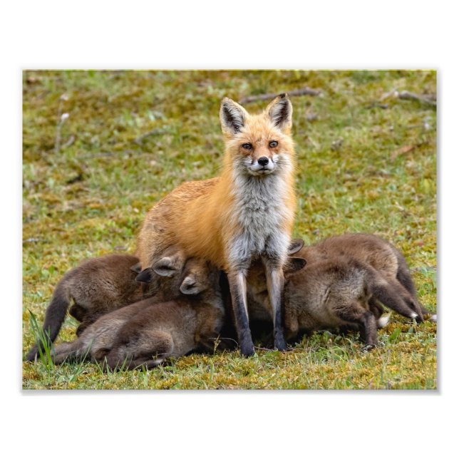 Mamma tillhandahåller en familjemål fototryck (Framsidan)