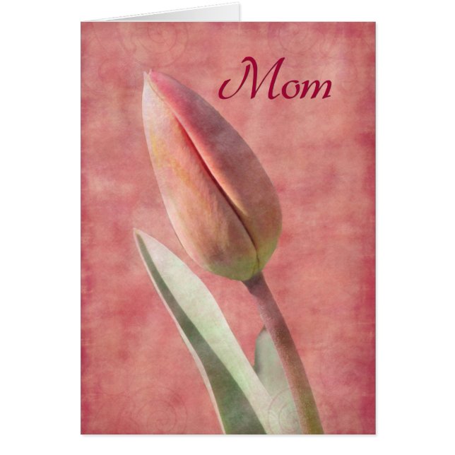 Mamma Tulip Hälsningskort (Framsidan)
